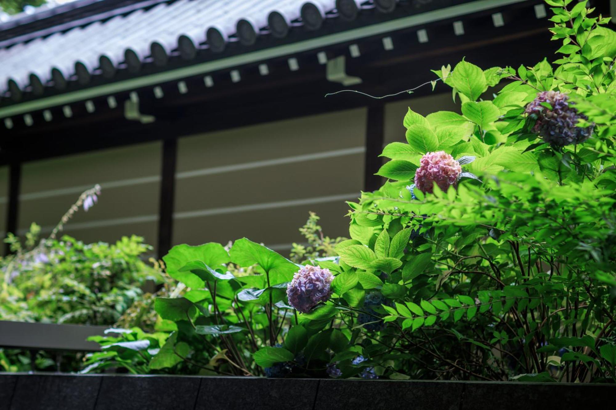 Hotel Okura Kyoto Okazaki Bettei Экстерьер фото